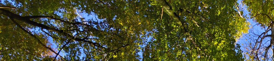 conni_eyrich_0013_Ebene 13.jpg